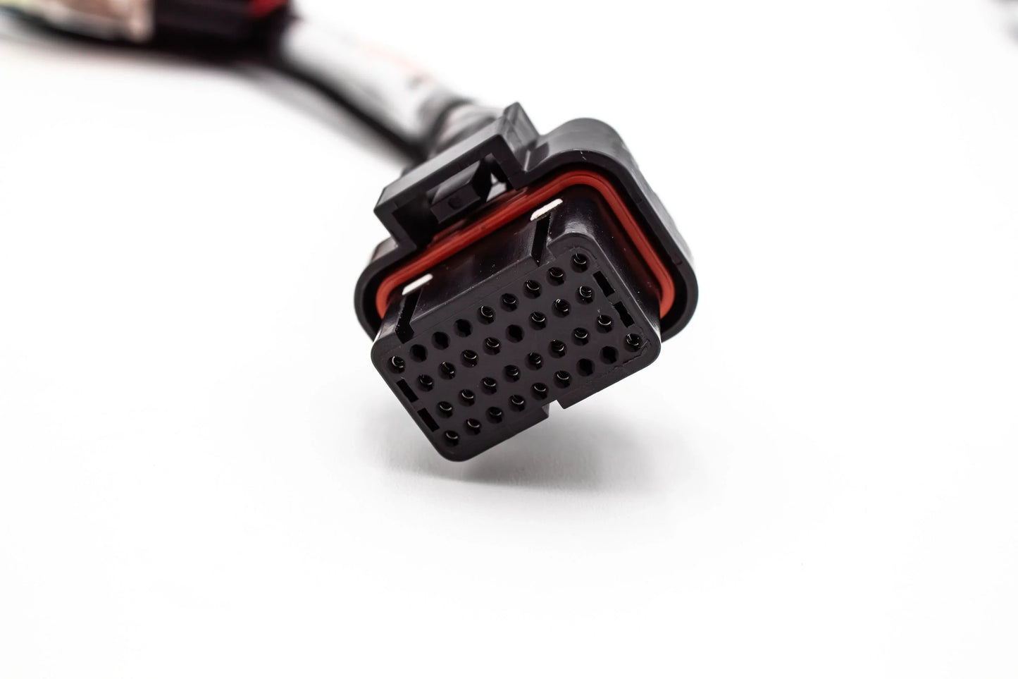 JackSpania Racing Haltech Elite jumper adapter sub harness for Honda B18 B16 H22 H23 B Series and EG Integra engines.