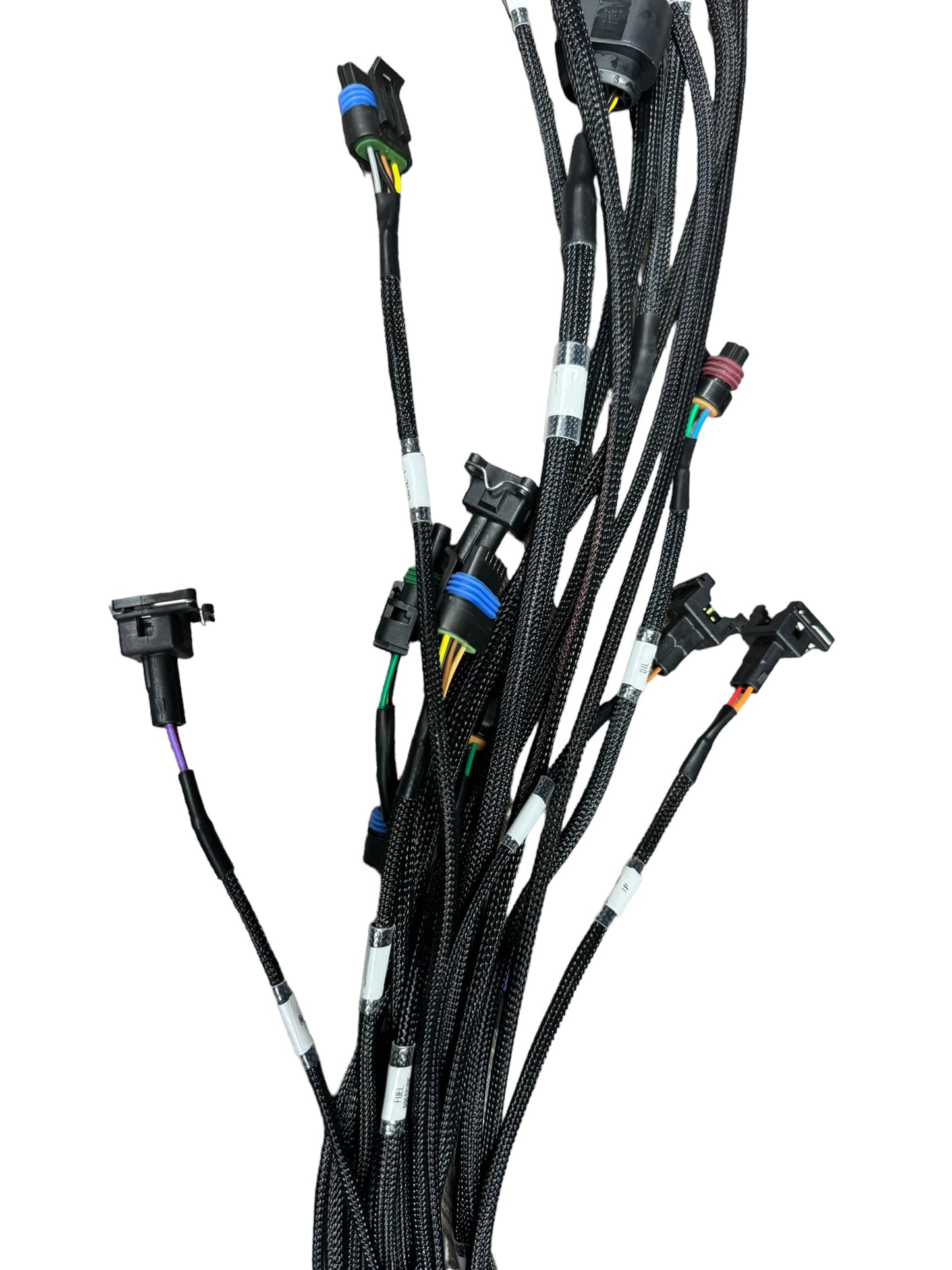 Universal engine harness for FuelTech FT450 FT550 ECU, 4-cylinder compatible, by JackSpania Racing, showing connectors and wiring.
