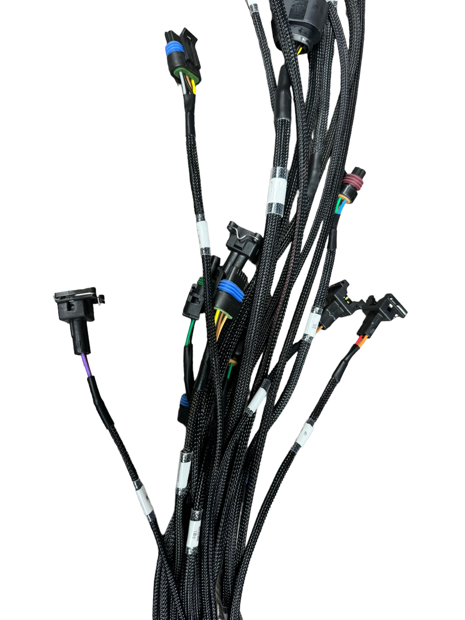 Universal engine harness for FuelTech FT450 FT550 ECU, 4-cylinder compatible, by JackSpania Racing, showing connectors and wiring.