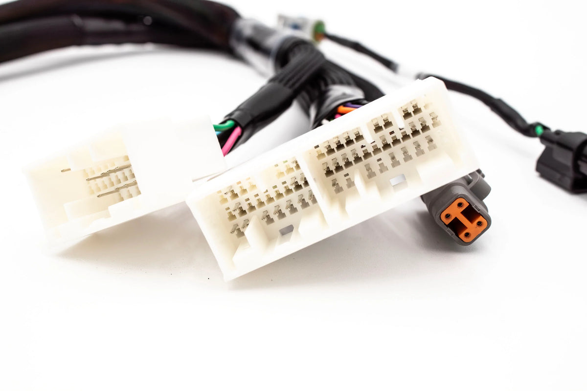 JackSpania Racing Haltech Elite 1000/1500 K Series jumper adapter sub harness for Honda K20 K24 engines, with connectors and wiring.