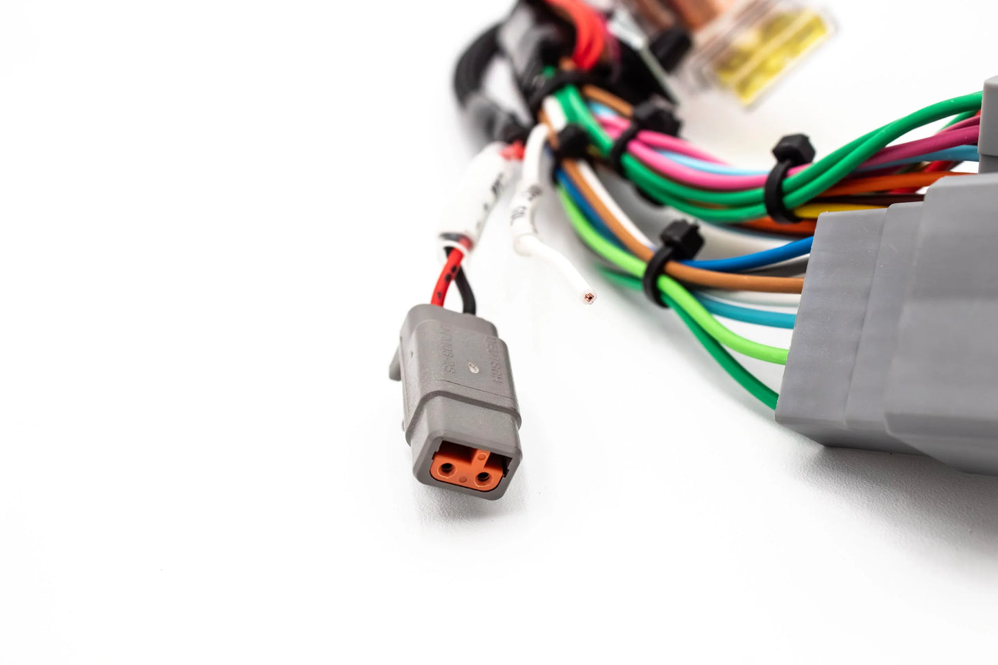 JackSpania Racing Haltech Elite 550/750 B Series & H Series jumper adapter sub harness for Honda B18 B16 H22 H23 engines.