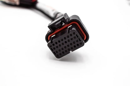 JackSpania Racing Haltech Elite jumper adapter sub harness for Honda B18 B16 H22 H23 B Series and EG Integra engines.