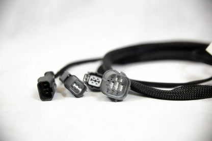 K20 K24 K-Swap Conversion Wiring Harness EG Civic DC2 Integra 92-00 Honda Acura - Jack Spania Racing