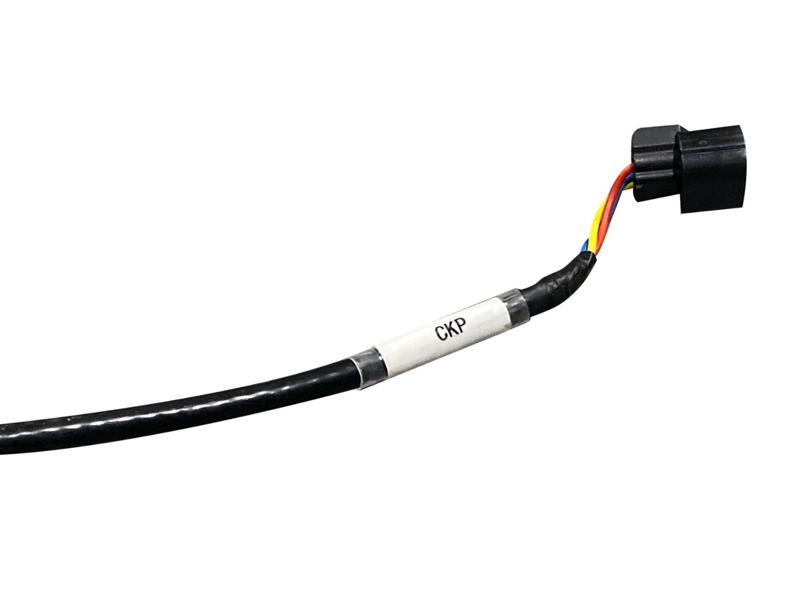 Jack Spania Racing K20 K24 K Series tucked engine charge wire harness for MR2 K swap and RWD Civic EG engine installation.