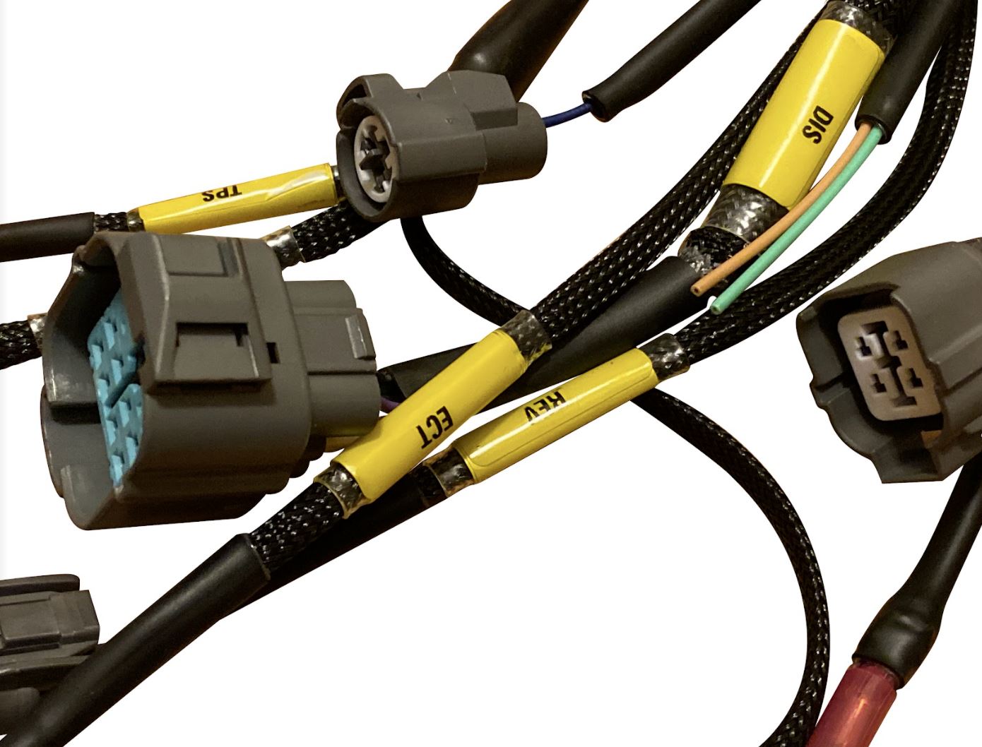 Jack Spania Racing OBD2 Budget H F Series Tucked Engine Harness for vehicle engine wiring and diagnostics.