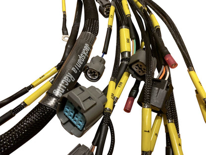 Jack Spania Racing OBD2 Budget H F Series Tucked Engine Harness for vehicle engine diagnostics and wiring.