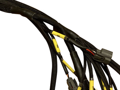 Jack Spania Racing OBD2 Budget H F Series Tucked Engine Harness for vehicle engine diagnostics and wiring.