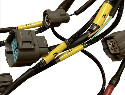 OBD2 D Series B Series tucked engine and sub harness for Acura Integra DC 94-95 by Jack Spania Racing, engine parts for repair or upgrade.