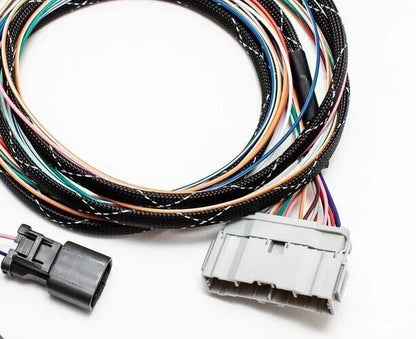 JackSpania Racing B Series OBD1 Subharness for 92-93 GSR Integra engine wiring connection, automotive engine part.