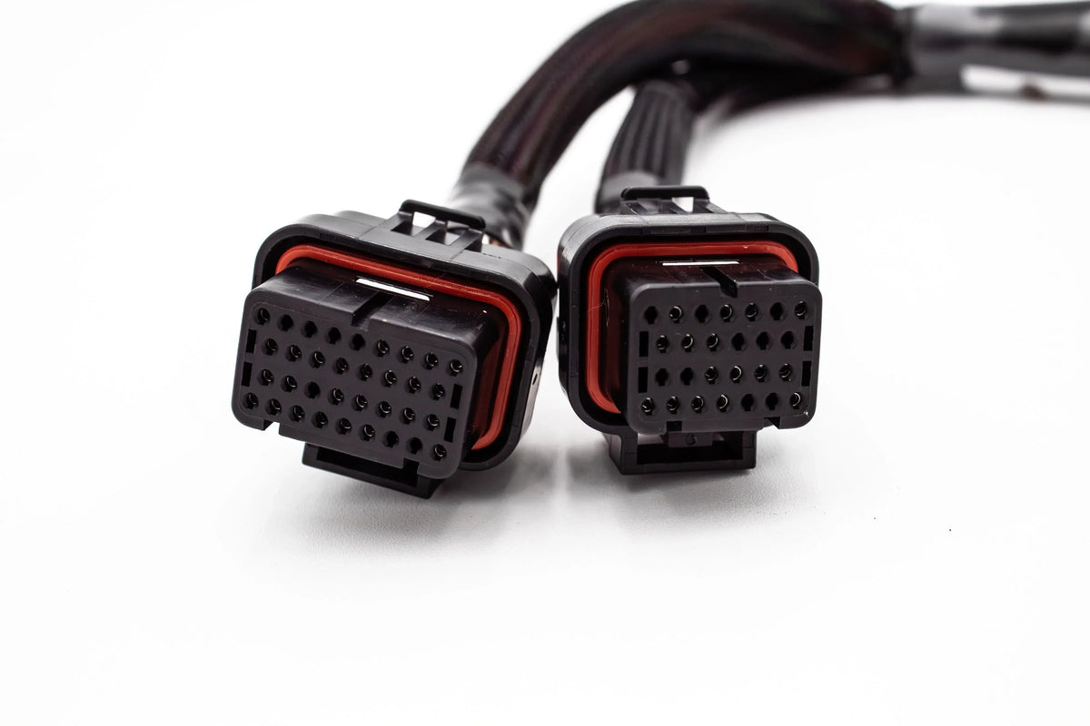 JackSpania Racing Haltech Elite 1000/1500 K Series standalone engine jumper adapter harness for Honda K20 and K24 engines.