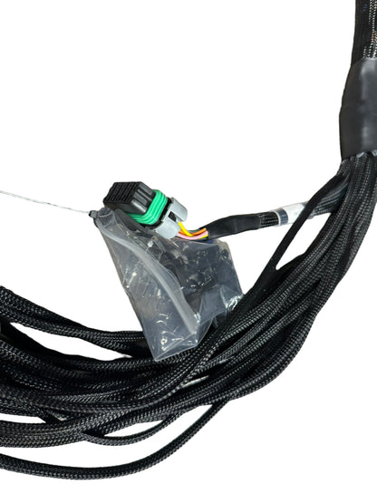 Universal JackSpania Racing engine harness for FuelTech FT450 FT550 ECU, designed for 4-cylinder engines, with wiring connectors and components.