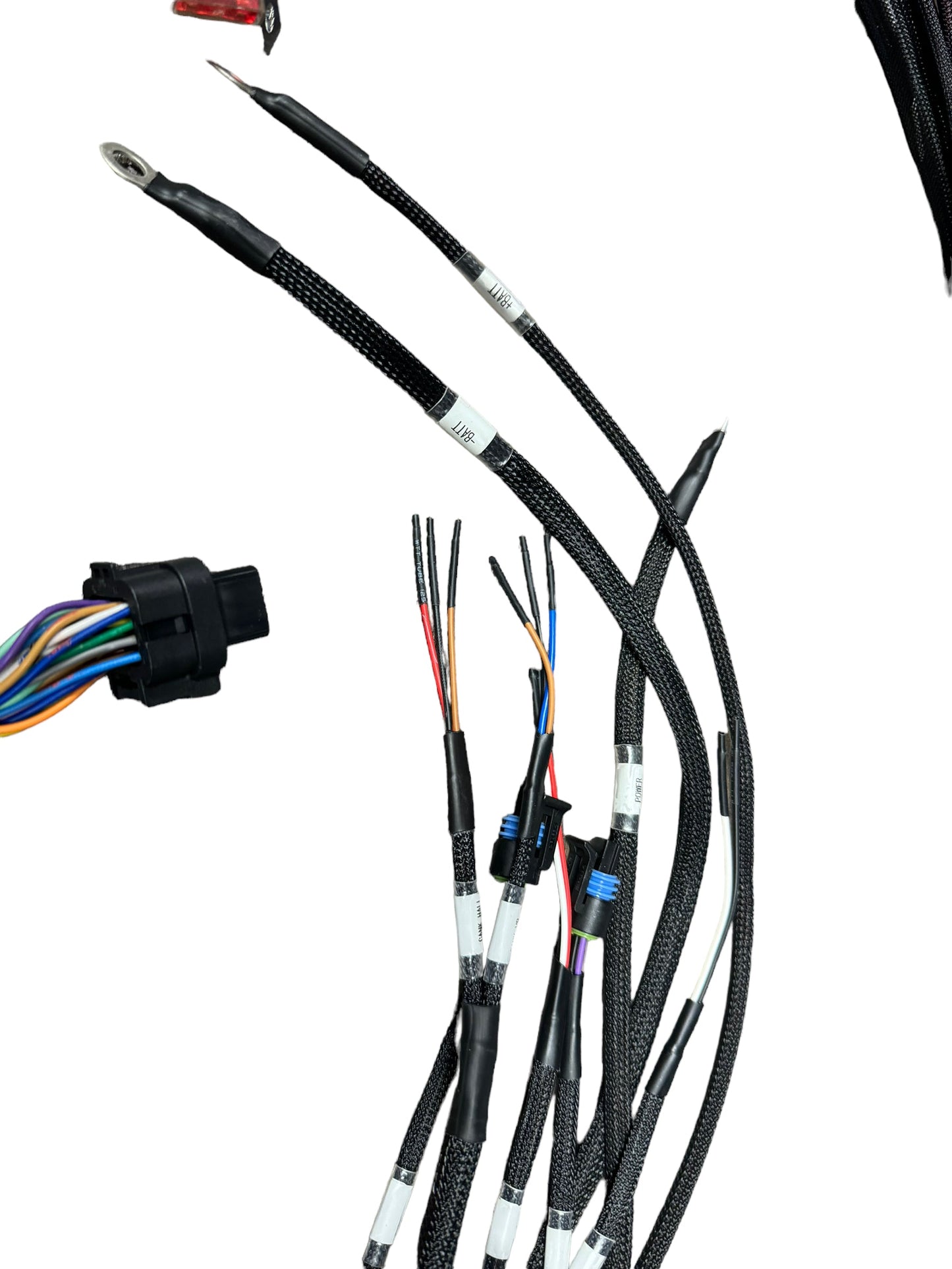 JackSpania Racing universal engine harness for FuelTech FT450 and FT550 ECU, designed for 4-cylinder engines, with wiring connectors.