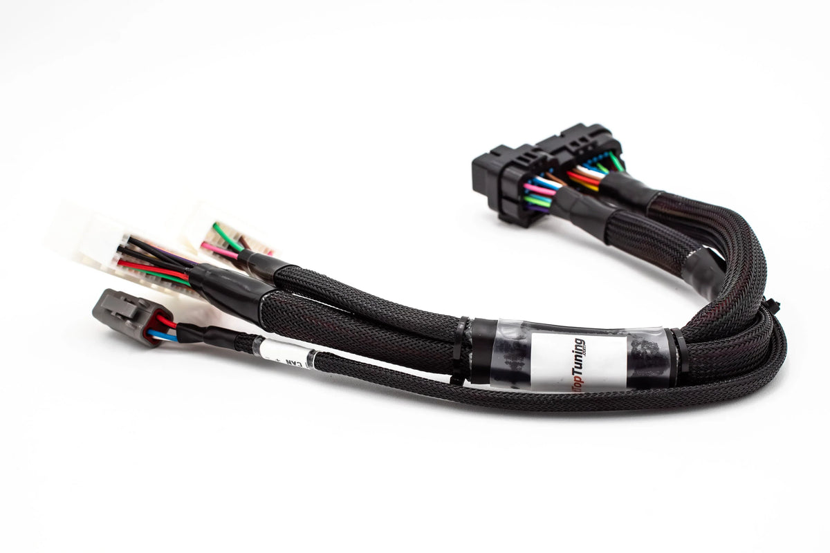 JackSpania Racing Haltech Elite 1000/1500 K Series standalone engine jumper adapter harness for Honda K20 and K24 engines.