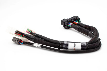 JackSpania Racing Haltech Elite 1000/1500 K Series standalone engine jumper adapter harness for Honda K20 and K24 engines.