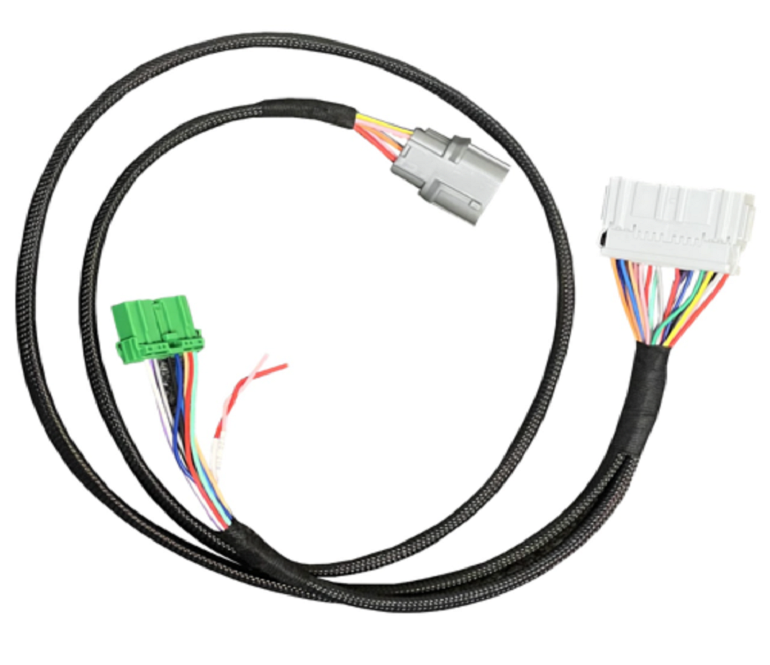 D Series Chassis Specific Adapter Harness B Series 99-00 EK For Honda Civic Si - Jack Spania Racing