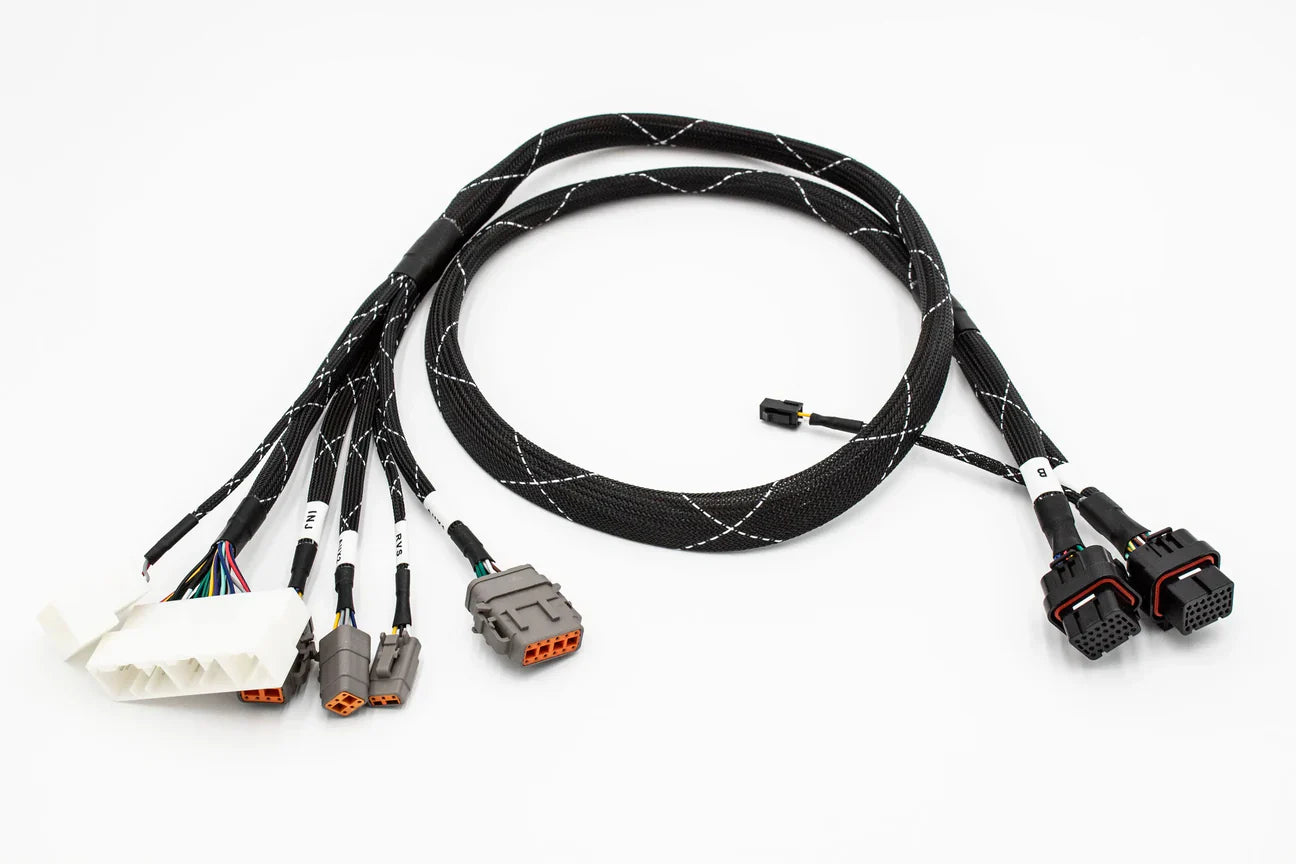 Fueltech FT550 standalone engine jumper adapter harness for Honda K20 K24 series by JackSpania Racing, shown in the image.