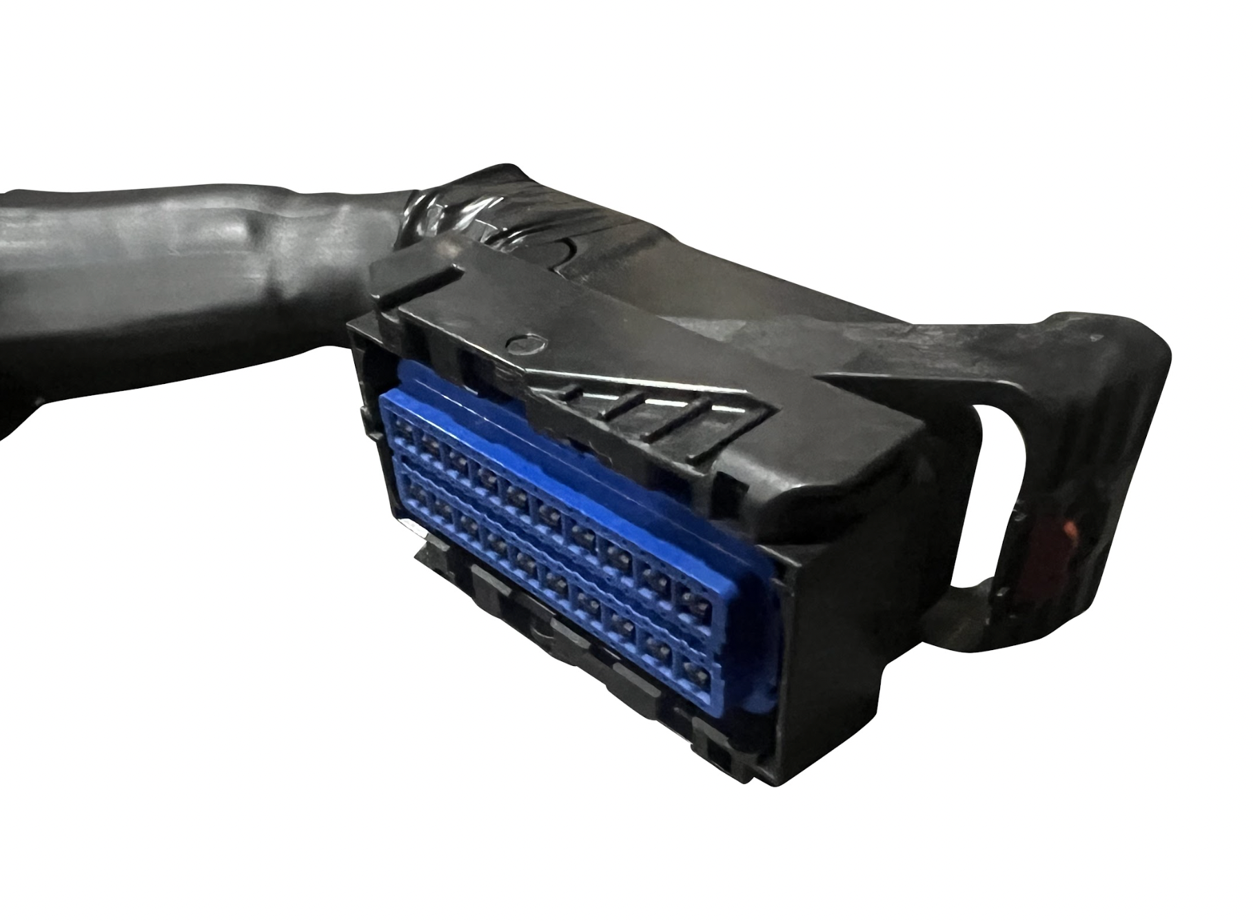 JackSpania Racing Plug & Play jumper harness for AEM Infinity ECUs, engine wiring harness with connectors for models 506, 508, 6, 8H.