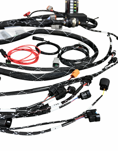 Standalone K Series Engine Harness For Fueltech FT550 K20 K24 Built In Fusebox K Swap EG EK DC RWD - JackSpania Racing